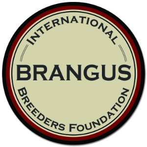 International Brangus Breeders Foundation
