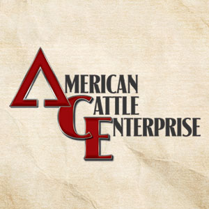 American Cattle Enterprise