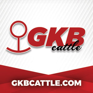 GKBCattle.com